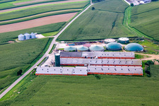 Livestock farming with biogas in Wintzenbach in the state Bas-Rhin, France