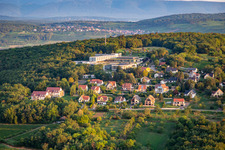 Le Bischenberg in Bischoffsheim in the state Bas-Rhin, France