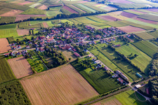 From the south in Hoffen in the state Bas-Rhin, France