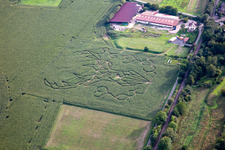 Corn Maze Raumbach in Meisenheim in the state Rhineland-Palatinate, Germany
