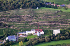 CJD Wolfstein, Niedermühle branch and Klostermühle Odernheim KG winery in Odernheim am Glan in the state Rhineland-Palatinate, Germany