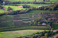 Weingut Disibodenberg KG in Odernheim am Glan in the state Rhineland-Palatinate, Germany