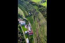 Aerial photograpy of CJD Wolfstein, Niedermühle branch and Klostermühle Odernheim KG winery in Odernheim am Glan in the state Rhineland-Palatinate, Germany