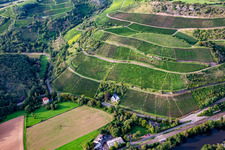 Schloßböckelheimer Königfels vineyard on the Heimberg in Waldböckelheim in the state Rhineland-Palatinate, Germany