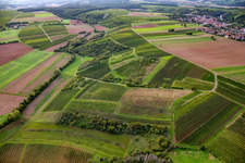 Grilerkäppchen vineyard above Hasselbach in Mandel in the state Rhineland-Palatinate, Germany