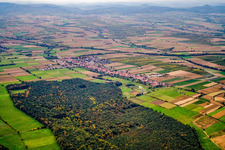 From the southwest in Freckenfeld in the state Rhineland-Palatinate, Germany