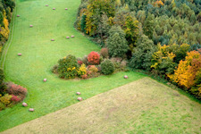 Oblique view of Otterbachtal in Freckenfeld in the state Rhineland-Palatinate, Germany