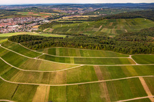 Oblique view of Großbottwar vineyard in the district Kleinbottwar in Steinheim an der Murr in the state Baden-Wuerttemberg, Germany