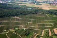 Wolfsgraben, Philosophensteige in the district Großgartach in Leingarten in the state Baden-Wuerttemberg, Germany