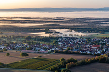 In front of the Bienwald in the morning mist in Steinfeld in the state Rhineland-Palatinate, Germany