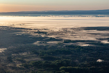 View over the Bienwald with morning mist in Schweighofen in the state Rhineland-Palatinate, Germany