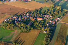 Aerial view of Geisberg in the district Altenstadt in Wissembourg in the state Bas-Rhin, France