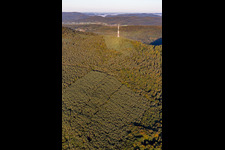 Transmission tower on the Col de Pigeonnier in Wissembourg in the state Bas-Rhin, France