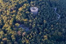Treetop Walk Alsace in Cleebourg in the state Bas-Rhin, France