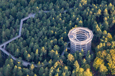 Aerial view of Treetop Walk Alsace in Cleebourg in the state Bas-Rhin, France