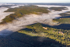 Bird's eye view of Château Fort de Fleckenstein in Lembach in the state Bas-Rhin, France