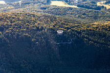 Aerial photograpy of Treetop Walk Alsace in Cleebourg in the state Bas-Rhin, France