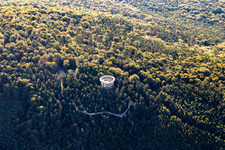 Treetop Walk Alsace in Cleebourg in the state Bas-Rhin, France from above