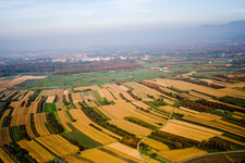 Golf Club Urloffen eV in the district Urloffen in Appenweier in the state Baden-Wuerttemberg, Germany