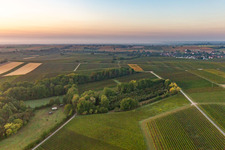 Barbelroth in the state Rhineland-Palatinate, Germany out of the air