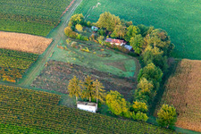 Dacha in the countryside in Oberotterbach in the state Rhineland-Palatinate, Germany