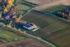 Knauf's Wine Bar in Göcklingen in the state Rhineland-Palatinate, Germany