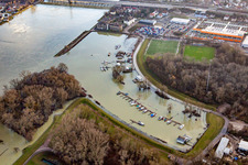 Rhine flood at the Rhine port of Maximliansau in the district Maximiliansau in Wörth am Rhein in the state Rhineland-Palatinate, Germany