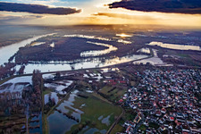 Due to flooding, the Goldgrund nature reserve in the Hagenbacher Altrheinschleife was flooded in the district Maximiliansau in Wörth am Rhein in the state Rhineland-Palatinate, Germany