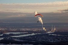 Paraglider over Maximiliansau in the district Maximiliansau in Wörth am Rhein in the state Rhineland-Palatinate, Germany