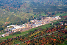 Hermann Keller Sawmill in Achern in the state Baden-Wuerttemberg, Germany