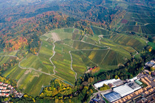Fields of wine cultivation landscape above sawmill in the district Oberachern in Achern in the state Baden-Wurttemberg