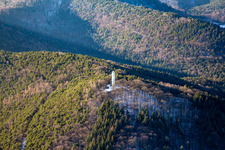 Stäffelsberg Tower in winter from the east in Dörrenbach in the state Rhineland-Palatinate, Germany