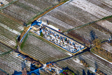 Cemetery in winter with snow in Oberotterbach in the state Rhineland-Palatinate, Germany