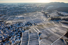 German vineyard Sonnenberg on French soil in winter with snow from the north in Wissembourg in the state Bas-Rhin, France