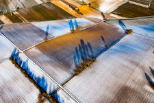 Field structures and shadows in winter with snow in Vollmersweiler in the state Rhineland-Palatinate, Germany
