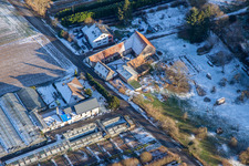Schmeißer cut greenery in Vollmersweiler in the state Rhineland-Palatinate, Germany