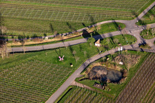 Bildhäusel in spring in the district SaintMartin in Sankt Martin in the state Rhineland-Palatinate, Germany