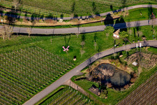 Aerial view of Bildhäusel in spring in the district SaintMartin in Sankt Martin in the state Rhineland-Palatinate, Germany