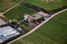 At the Schlossberg in Burrweiler in the state Rhineland-Palatinate, Germany
