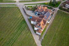 Winery & Wine Hotel Kienle in Burrweiler in the state Rhineland-Palatinate, Germany