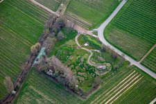 Climate ARBORETUM in spring in Flemlingen in the state Rhineland-Palatinate, Germany