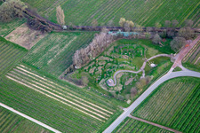 Aerial view of Climate ARBORETUM in spring in Flemlingen in the state Rhineland-Palatinate, Germany