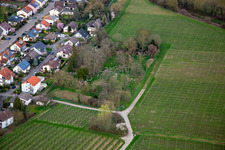 Jewish Cemetery Ingenheim in the district Ingenheim in Billigheim-Ingenheim in the state Rhineland-Palatinate, Germany