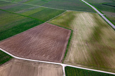 Field structures in the district Ingenheim in Billigheim-Ingenheim in the state Rhineland-Palatinate, Germany