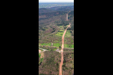 Reconstruction of the 51 km section of the Trans-Europe Natural Gas Pipeline (TENP-I between the Netherlands and Switzerland) between Mittelbrunn and Klingenmünster in Silz in the state Rhineland-Palatinate, Germany