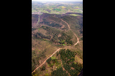 New construction of the 51 km section of the Trans-Europe Natural Gas Pipeline (TENP-I between the Netherlands and Switzerland) between Mittelbrunn and Klingenmünster in Klingenmünster in the state Rhineland-Palatinate, Germany
