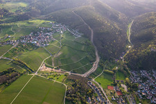 Corridor through the Palatinate Forest for the reconstruction of the 51 km section of the Trans-Europe Natural Gas Pipeline (TENP-III from the Netherlands to Switzerland) between Mittelbrunn and Klingenmünster in the district Gleiszellen in Gleiszellen-Gleishorbach in the state Rhineland-Palatinate, Germany