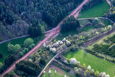 Corridor through the Palatinate Forest for the reconstruction of the 51 km section of the Trans-Europe Natural Gas Pipeline (TENP-III from the Netherlands to Switzerland) between Mittelbrunn and Klingenmünster in Schwanheim in the state Rhineland-Palatinate, Germany