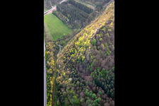 Aerial view of Falkenburg Castle Ruins in Wilgartswiesen in the state Rhineland-Palatinate, Germany