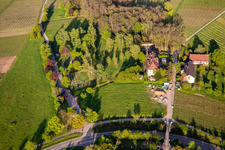 Hospital cemetery and Palatinate Memorial for the victims of Nazi psychiatry in the Palatinate Hospital for Psychiatry and Neurology "Landeck in Göcklingen in the state Rhineland-Palatinate, Germany